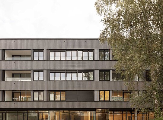 Trockenbau Kaufmann Hospital Mehrstöckiges modernes Wohngebäude mit großen Fenstern und Balkonen, daneben ein Baum mit grünen Blättern.