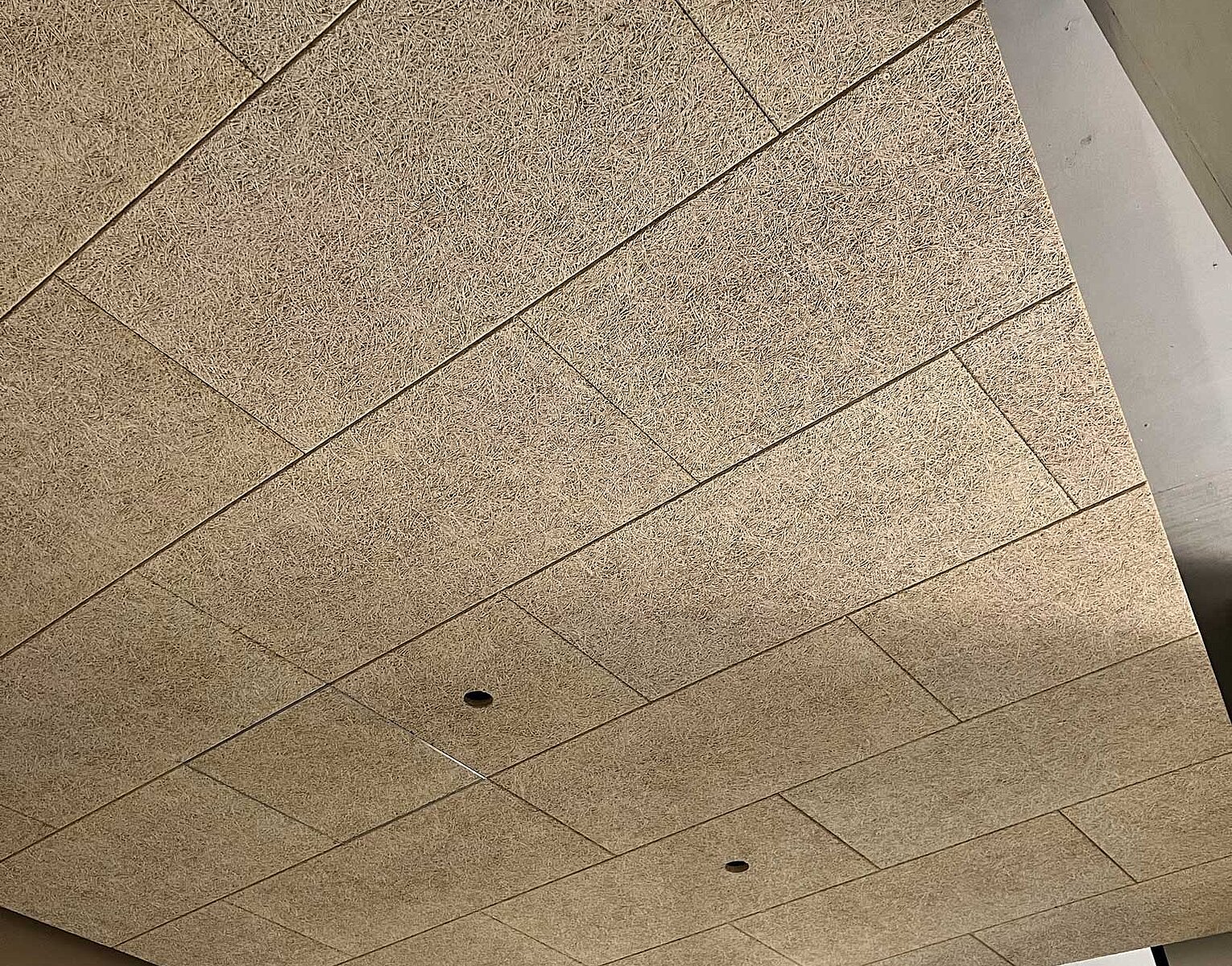 Decke aus großen rechteckigen Holzplatten in einem Innenraum mit zwei eingebauten runden Leuchten.